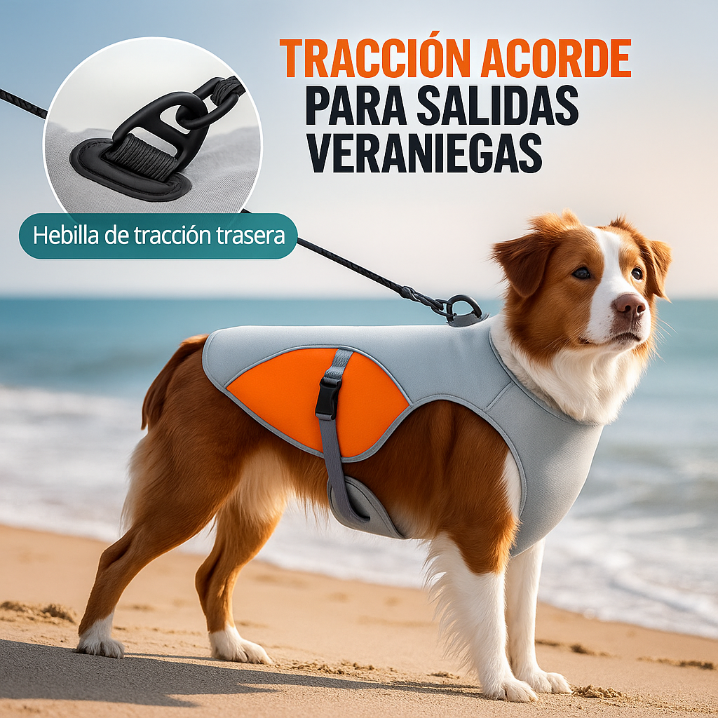 Chaleco Refrescante para Perros