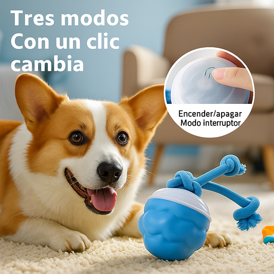 Pelota Interactiva Auto‑Rebotante – Diversión sin fin para perros y gatos