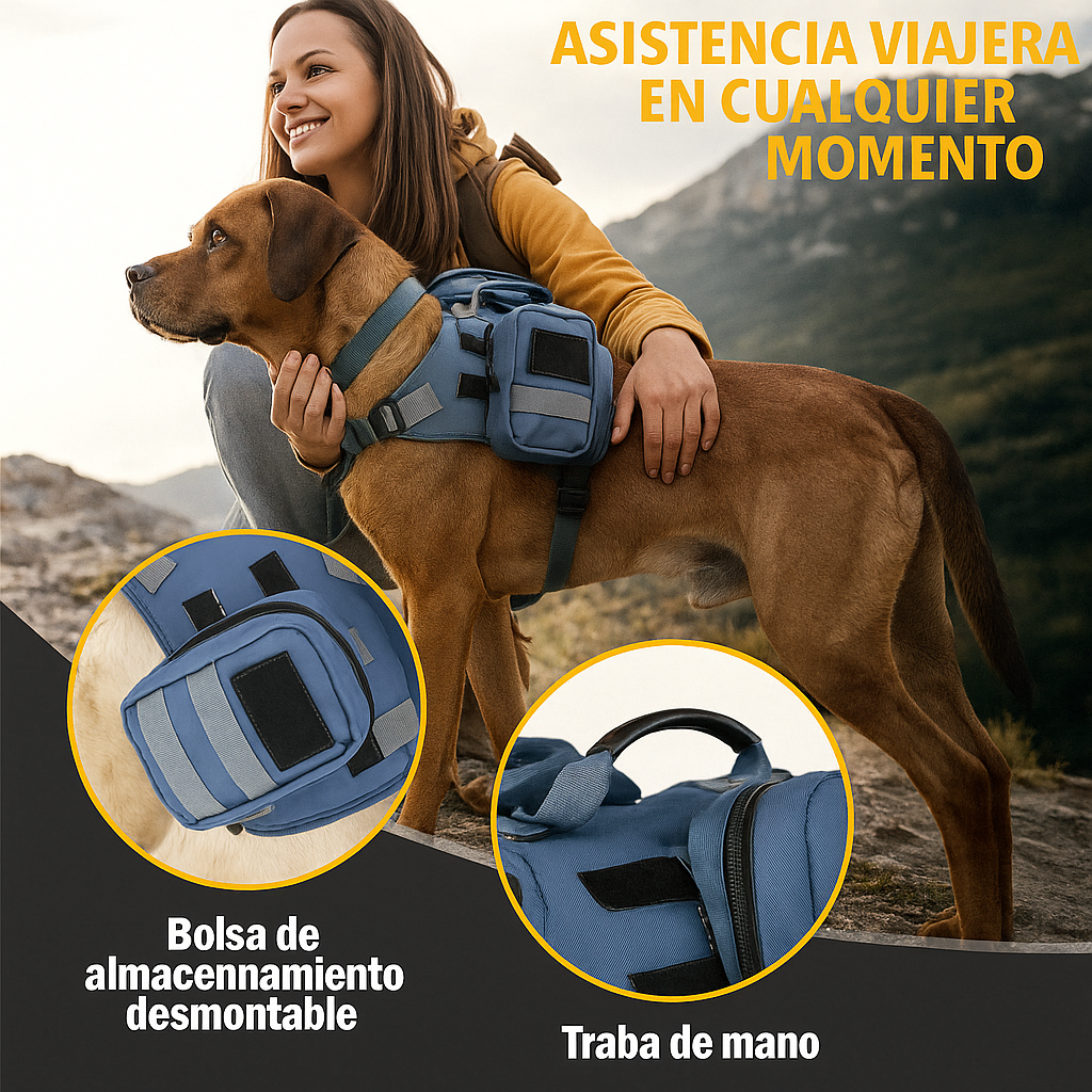 Arnés de paseo Outdoor
