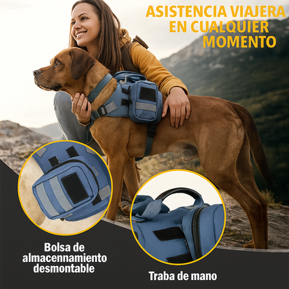 Arnés de paseo Outdoor