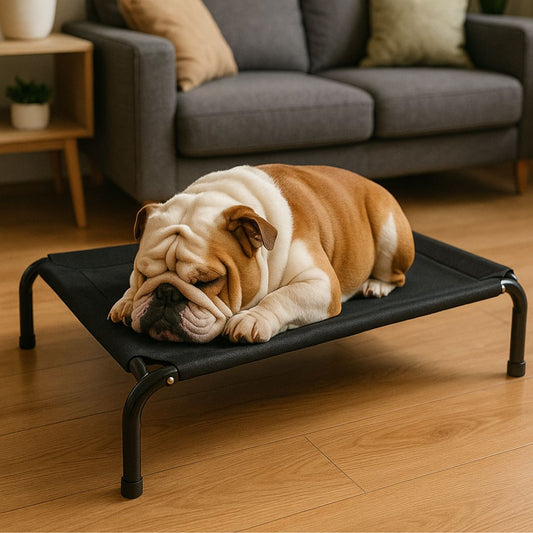 Cama en Altura Macá