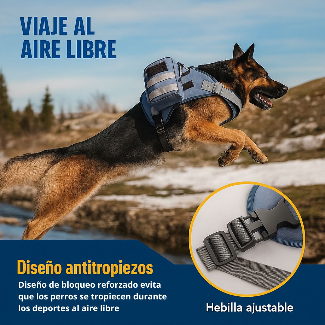 Arnés de paseo Outdoor