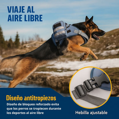 Arnés de paseo Outdoor