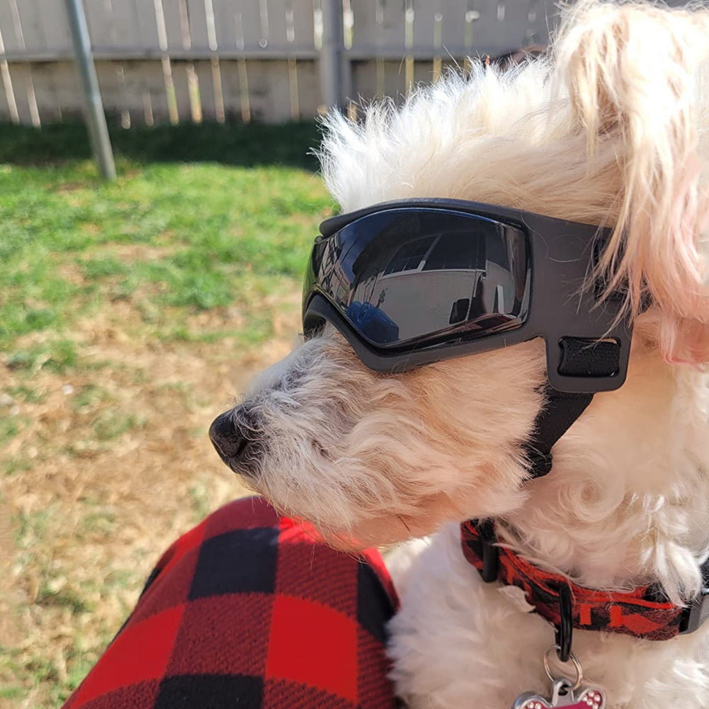 Lentes Protección UV